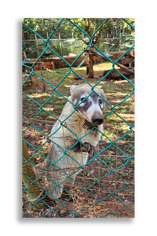 Юкатан. Неделя в декабре 2025