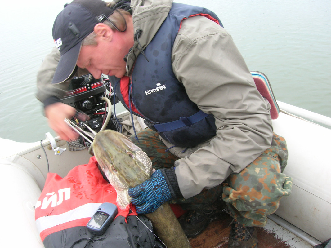 рыбалка джиг спиннинг (4 2)