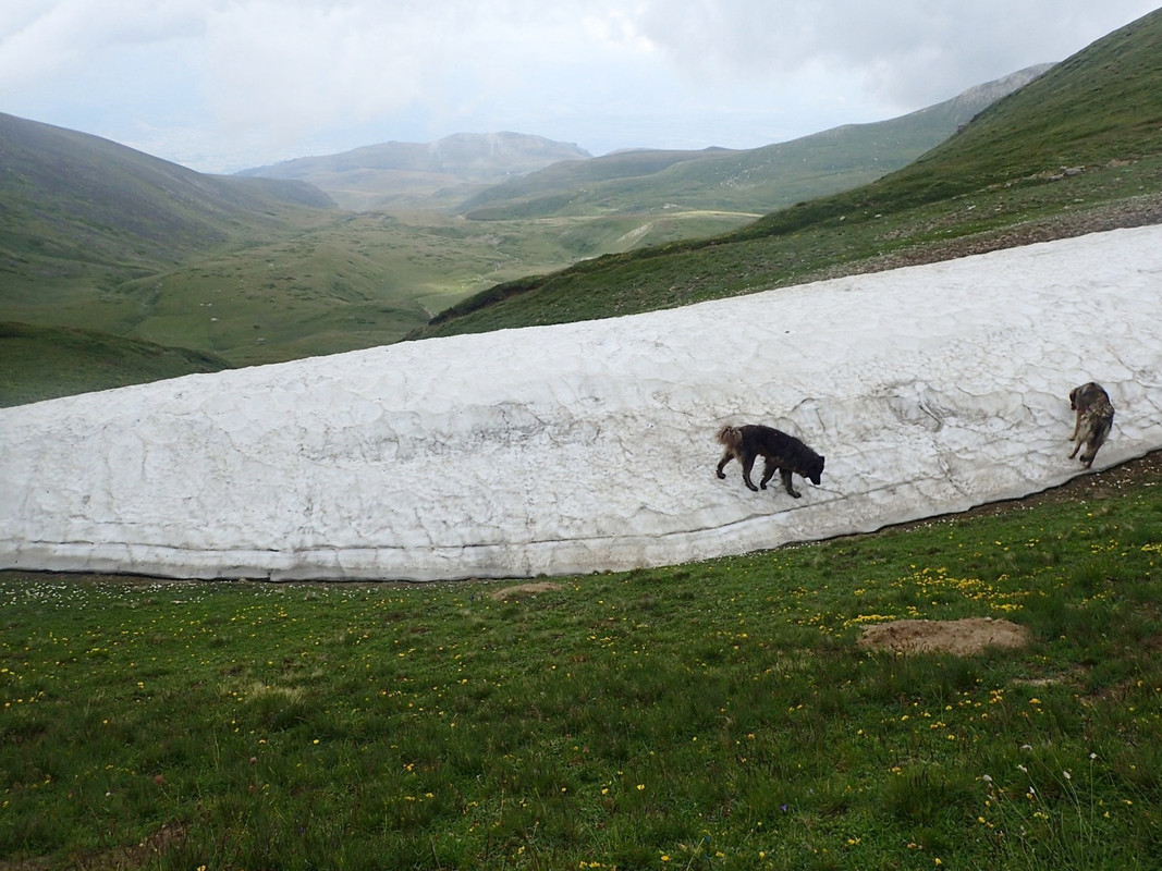 2019_0804BAŁKANY0817