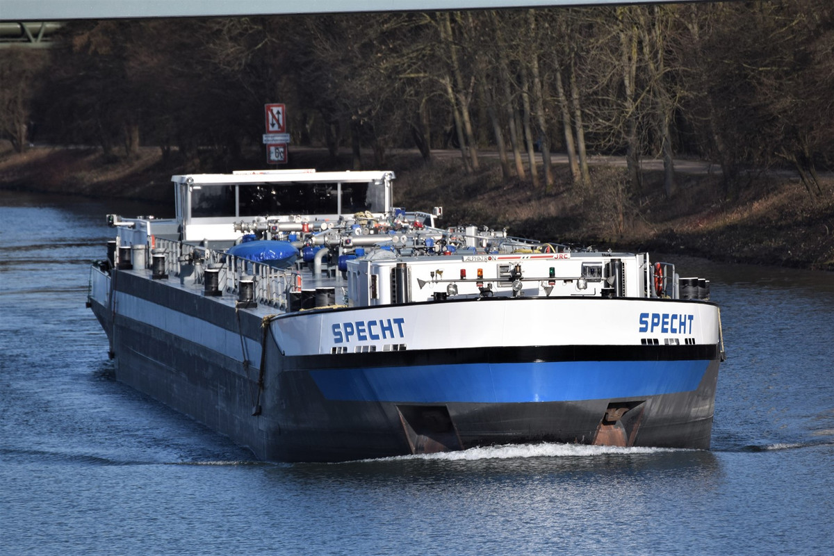 2021.03.06c2 Specht