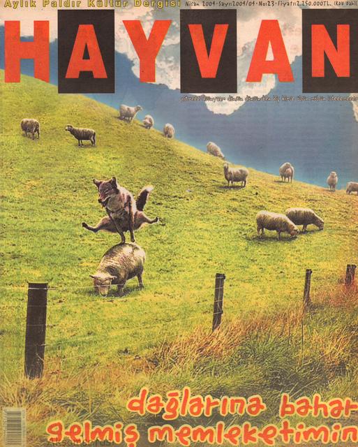 Hayvan-Say-23-1.jpg