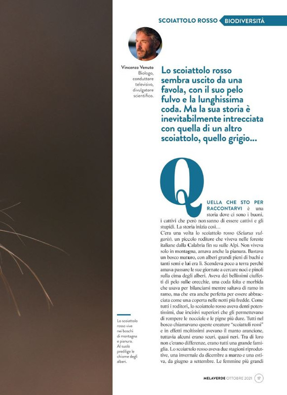 melaverde Ott 2021 (2)