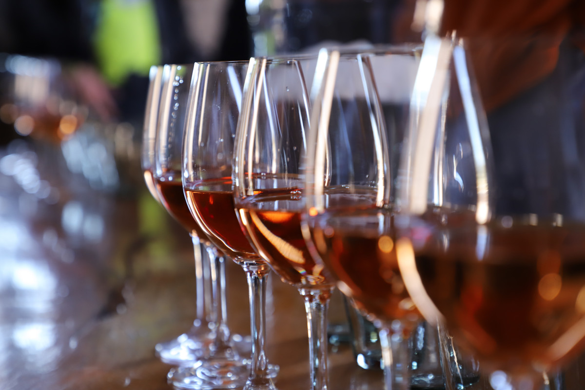 Celebra Tinto Bajío novena edición con nueve casas vinícolas del Estado de Guanajuato