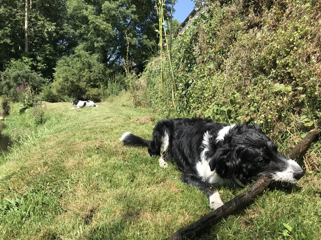 E7F46940-7D2A-42AB-8DF9-59F0AB963EFE