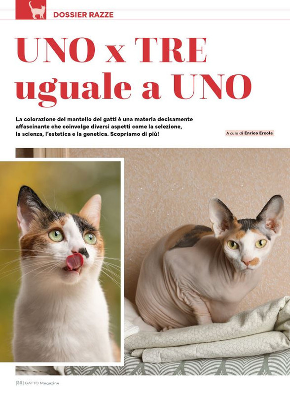 Ga Ma Dic 2024-Gen 2025 (3)