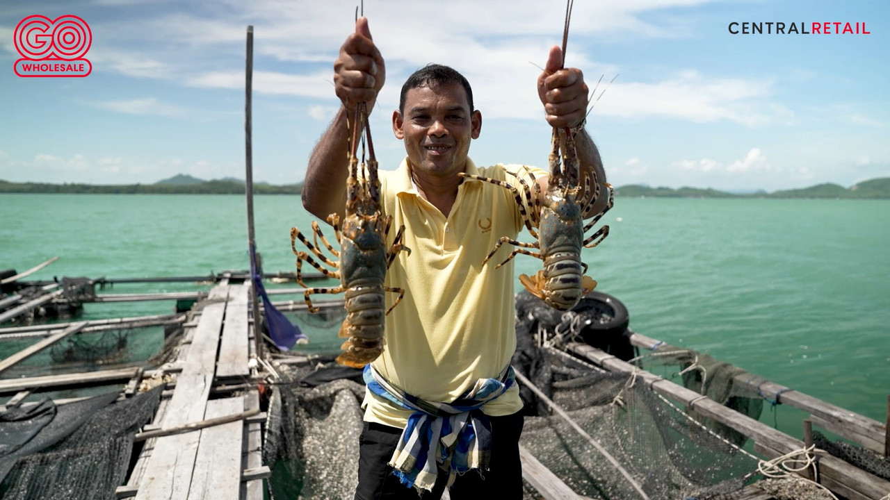 กุ้งมังกร 7 สีภูเก็ต 2