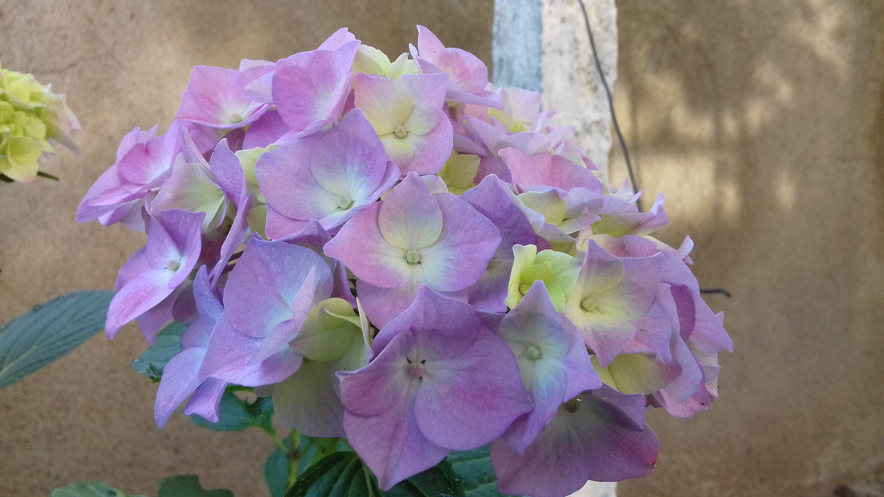 20190604_073944