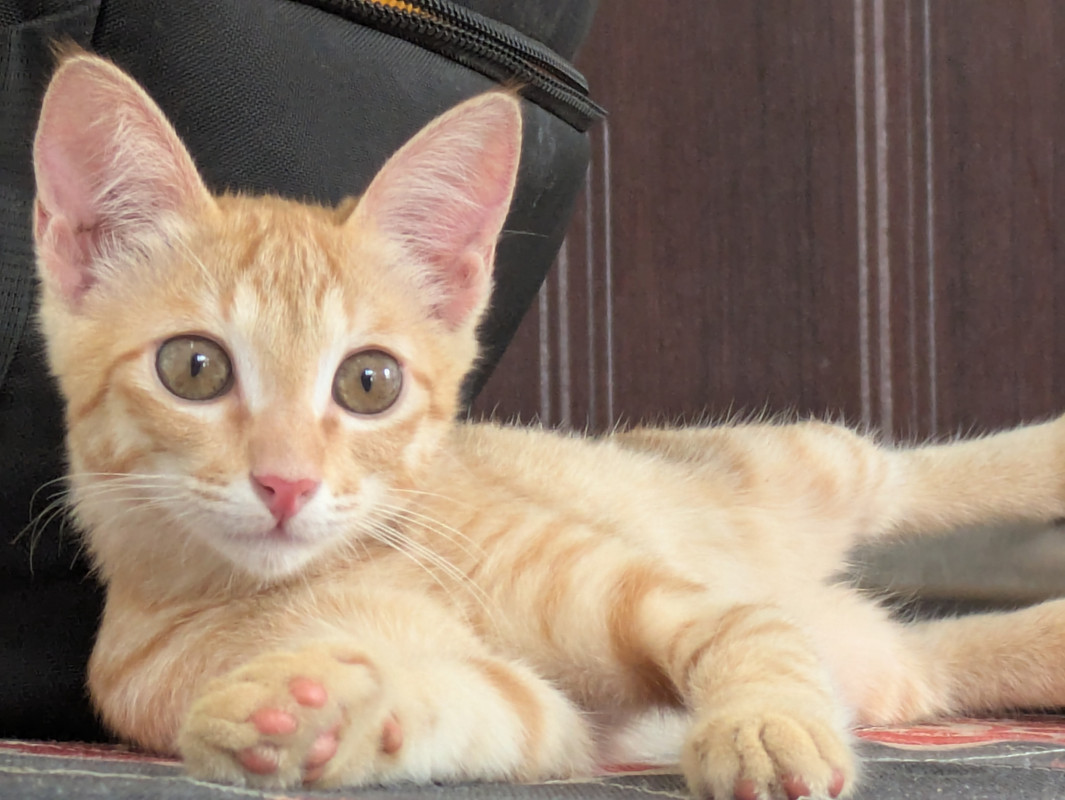 PXL 20250809 084526734