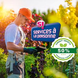 Services à la personne