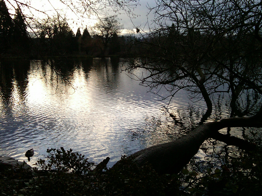 IMG00041-20100112-1546
