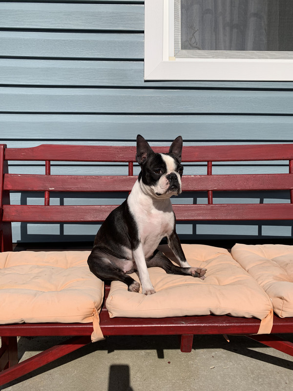 261CD2F3-37E3-4134-A642-51CA67279EAF