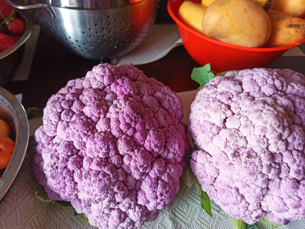 aa631afd-23a4-4854-92d2-320800d5393d