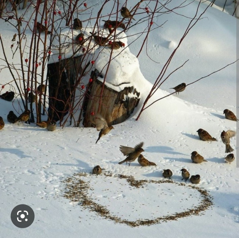 Screenshot_20221125-002154_Chrome