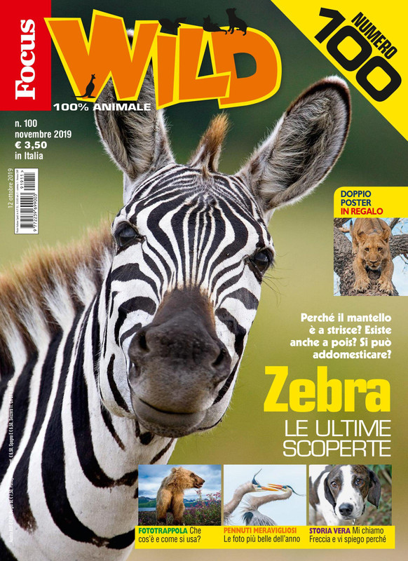 Focus Wild – Novembre 2019