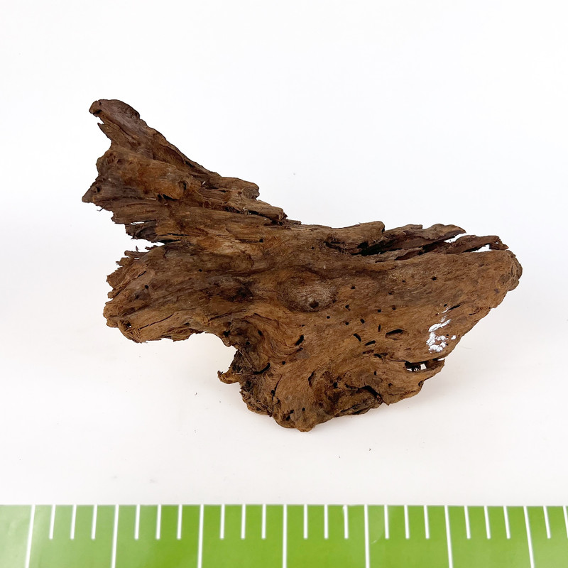 mangrovedriftwood