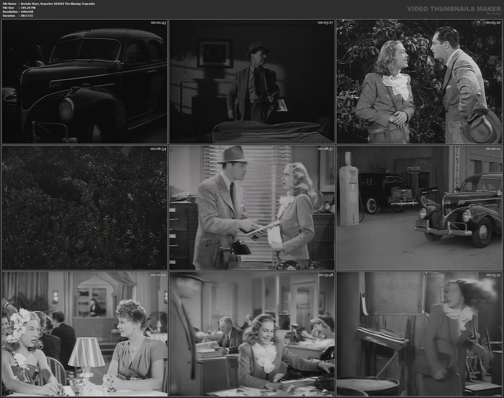 Brenda Starr, Reporter S01E02 The Blazing Trap.mkv