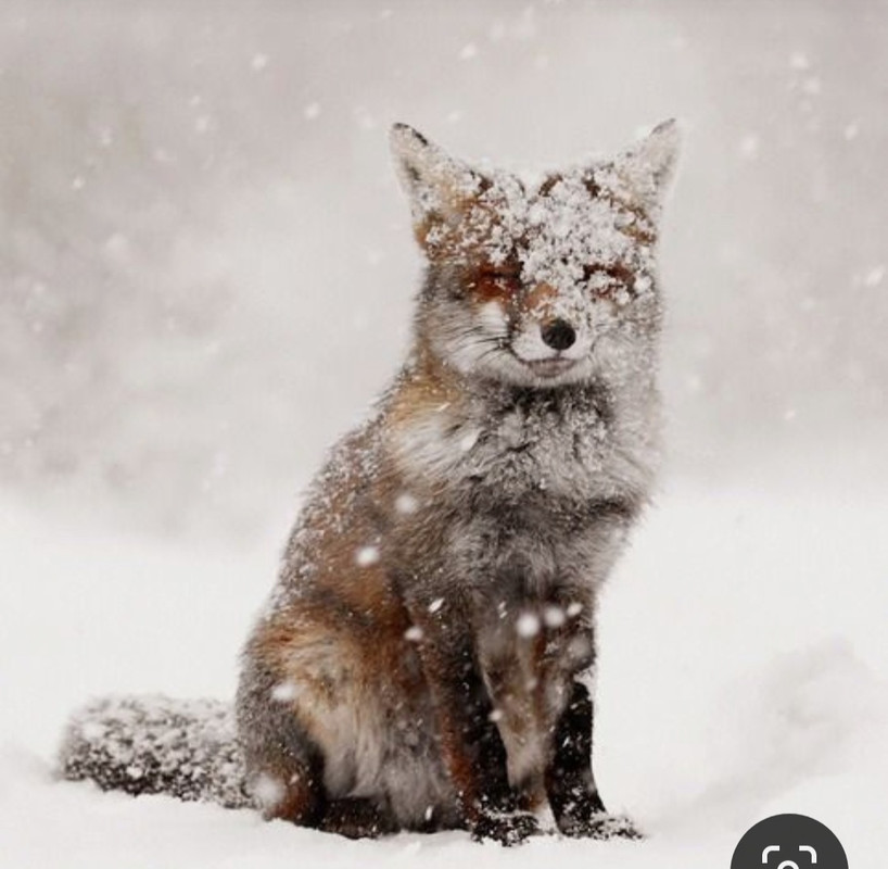 Screenshot_20230831_231842_Pinterest