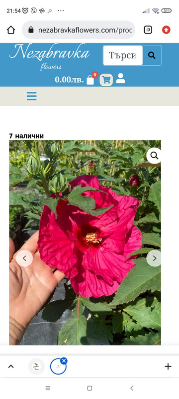 Screenshot_2024-08-04-21-54-22-999_com.android.chrome