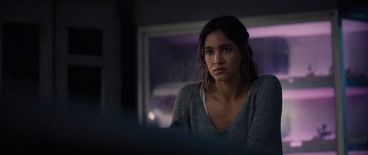 vlcsnap-2022-01-10-20h19m17s664