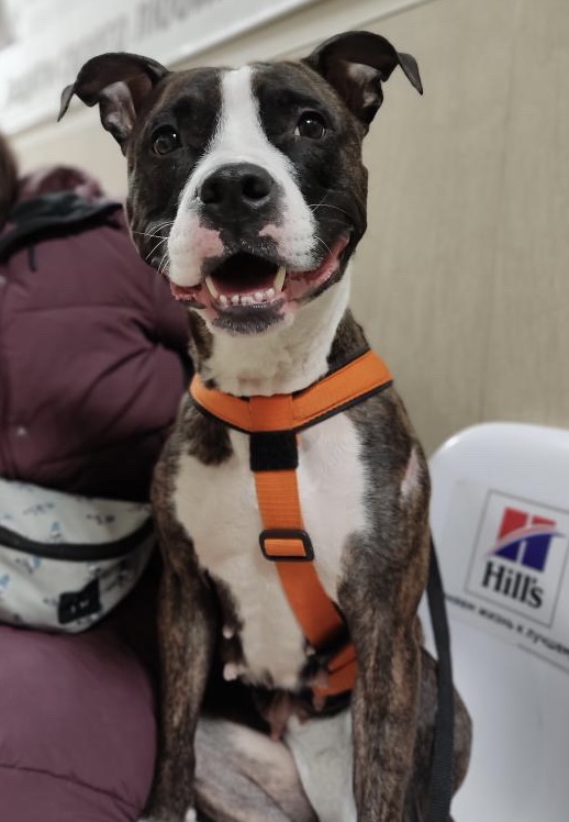 2D082E18-201C-4A5E-8176-5F1EAE12B3ED