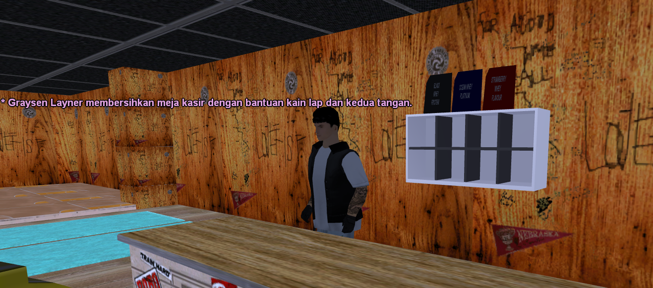 samp-13-02-2025-22-28-02.png