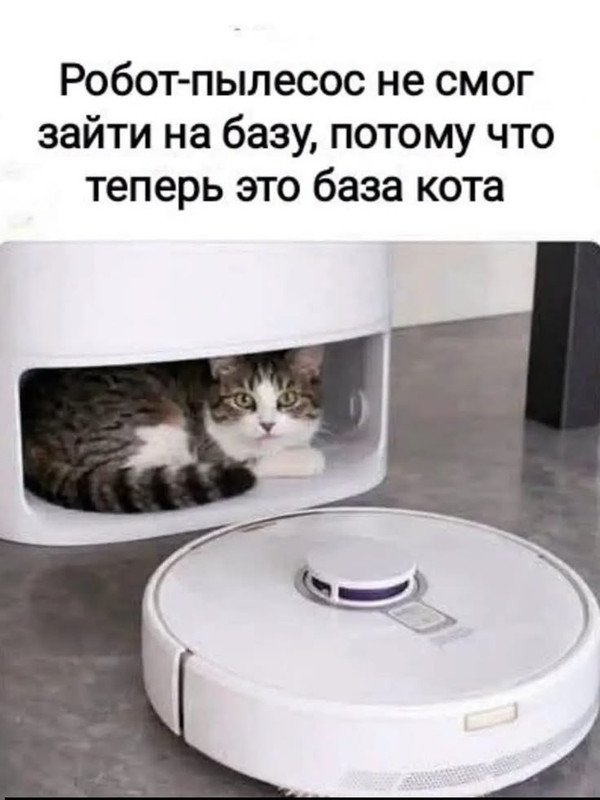 8bd78bf8a89d6071e4e203e20c1a2807