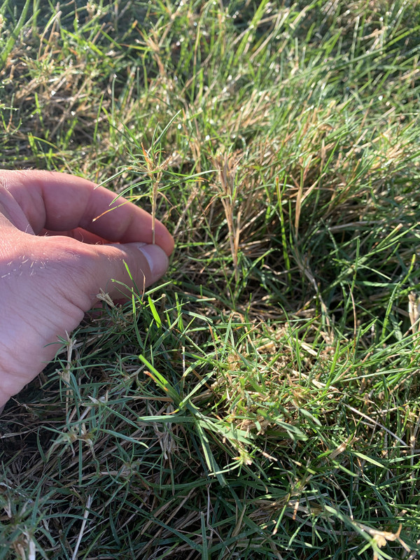 E70E3A1F-B013-4B1F-8FFB-A356599DE29C