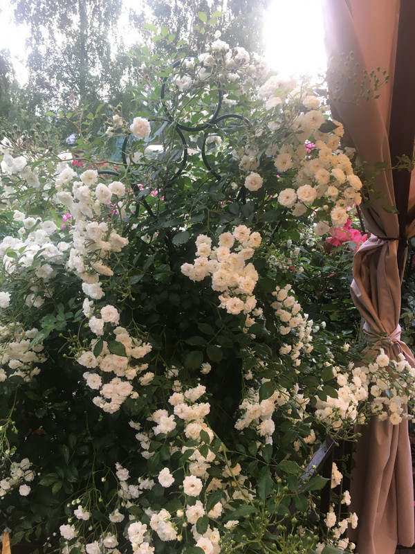 C81D60F8-7349-4C6E-B1BF-F7CF7BEB0C84