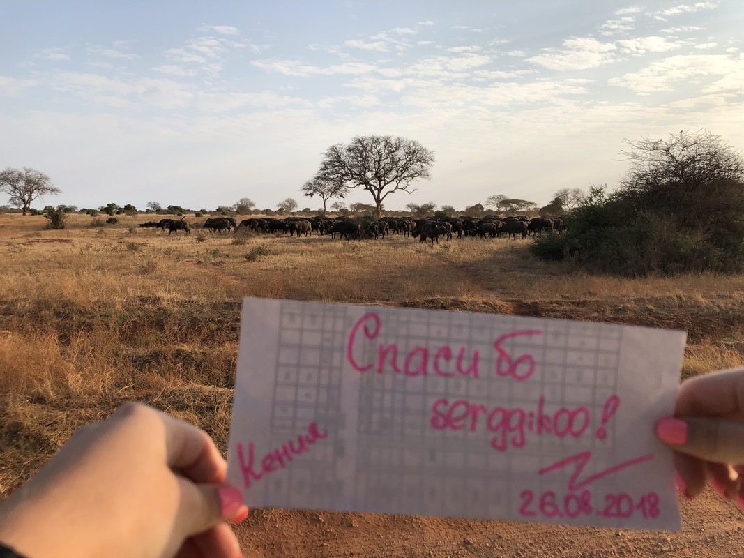 0759E9A5-3DA7-44F2-BE87-F1DEC74AD562