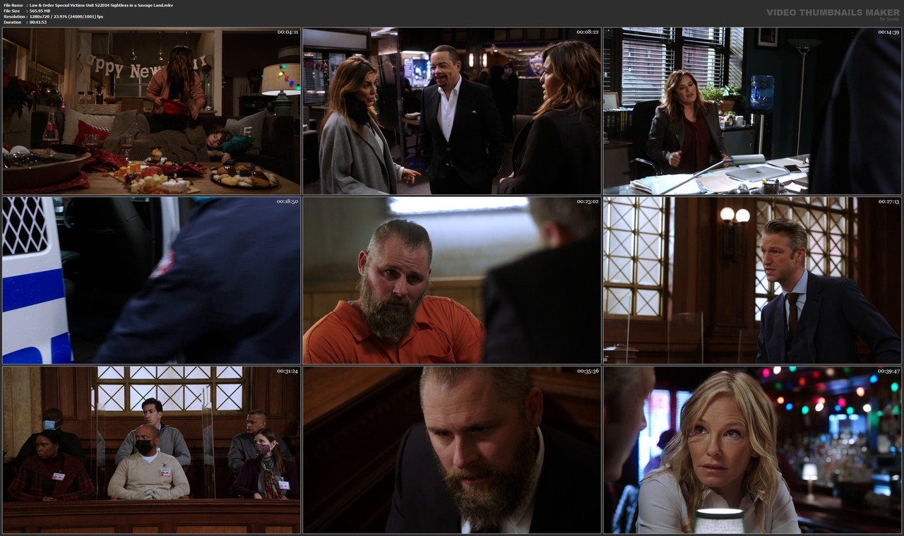 Law & Order Special Victims Unit S22E04 Sightless in a Savage Land.mkv