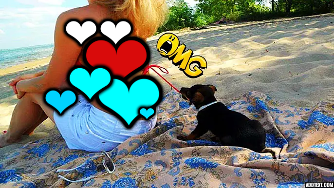 ���� ���� ������ �� ���� ������