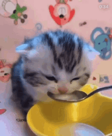1651226068121.gif