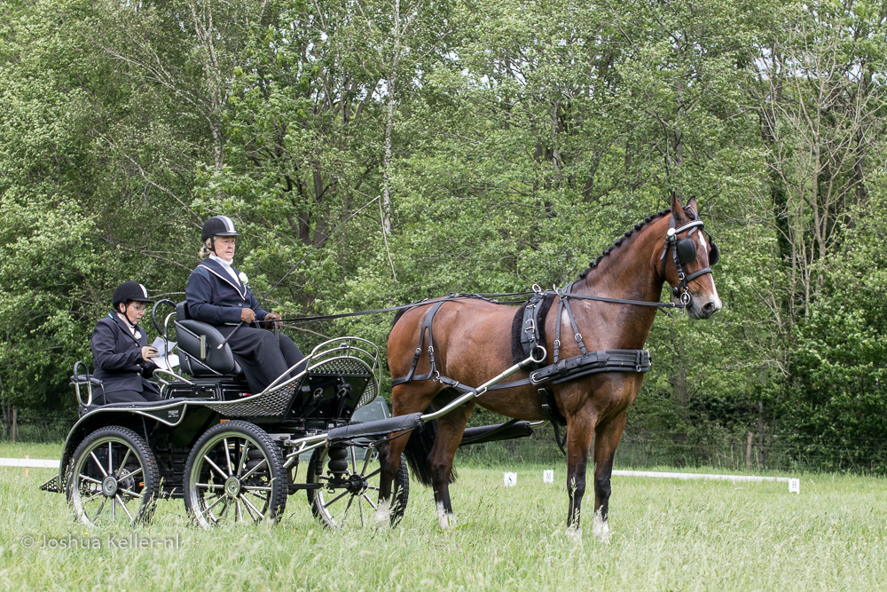 MG-9934vaardigheid-dressuur-nienoord-2022