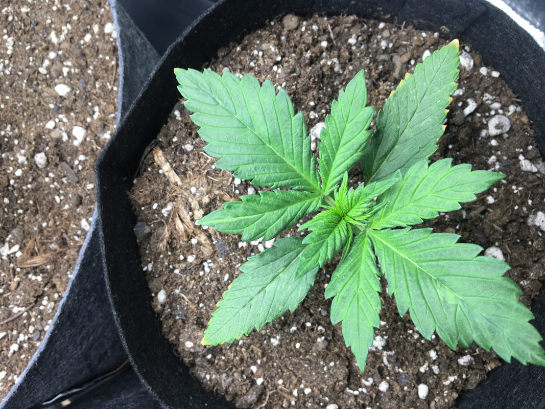 EE038B9A-BC1F-41BC-A8CC-D46497635F6A