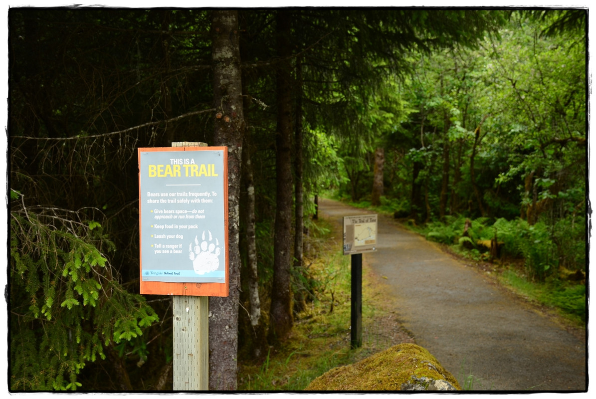 Alaska por tierra, mar y aire - Blogs de America Norte - 24 de junio. Juneau (4)