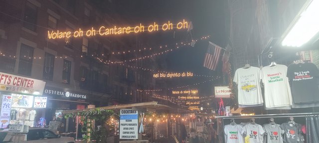 Vista icónica en Dumbo, bicis Central Park, Museo Historia y Little Italy - Nueva York y Cataratas del Niágara 2023 (44)