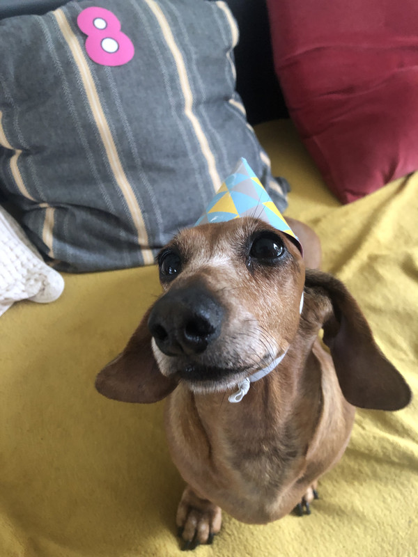 [Image: IMG-3447.jpg]