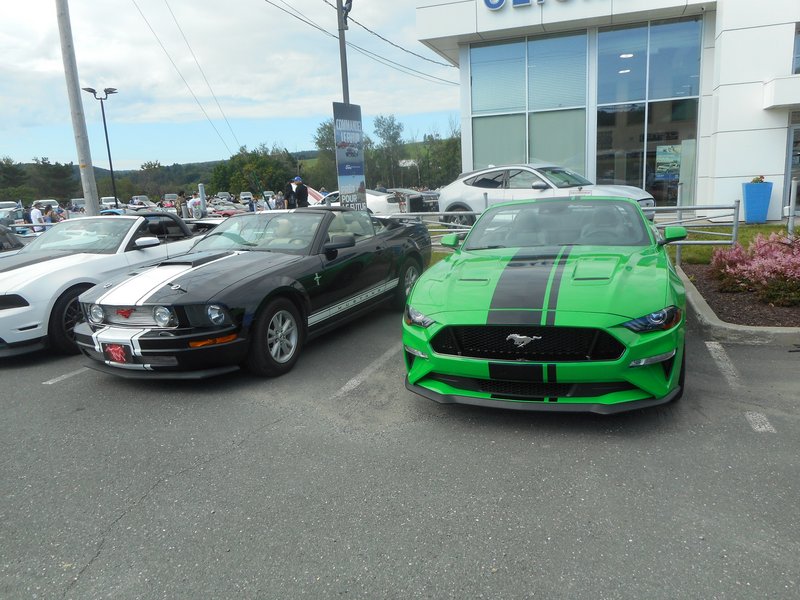 Rendez-Vous Mustang Cliche Auto Ford - 14 août 2022 Cliche2022-05