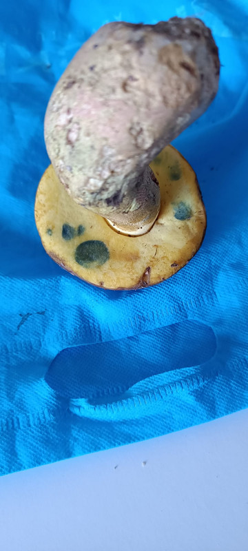 WhatsApp Image 2023-08-08 at 17.01.35 (2)