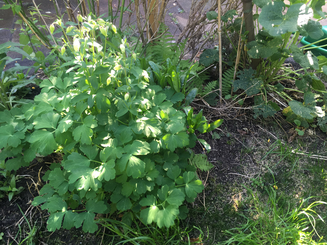 8A2ED01F-526C-4701-B95D-94BABD055CBF