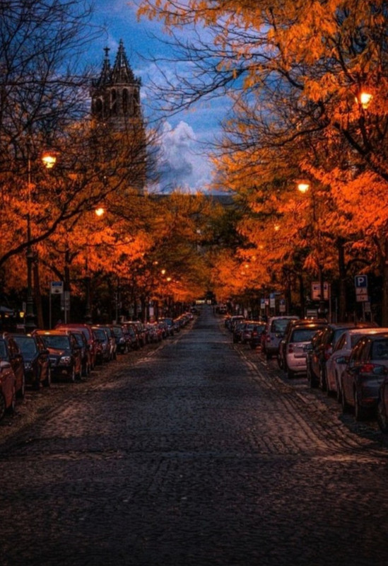 Screenshot_20231201_000352_Pinterest