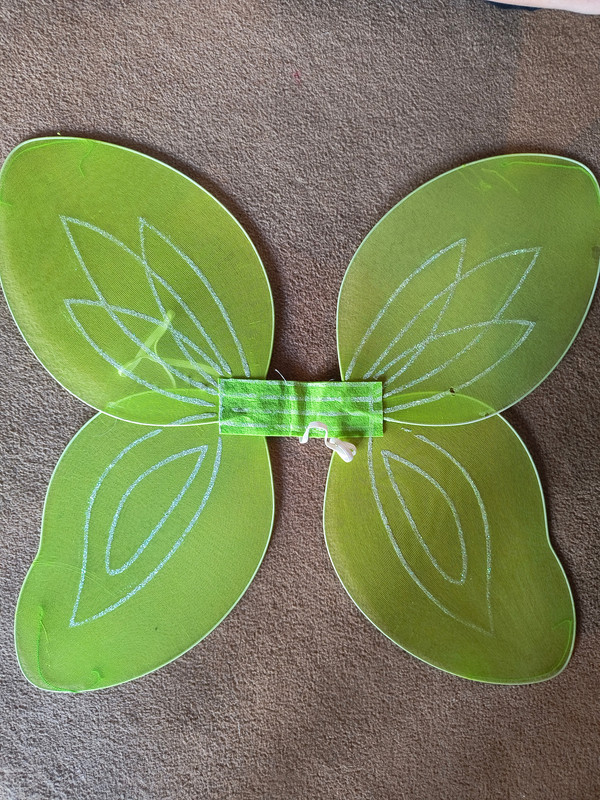 Green Fairy Wings
