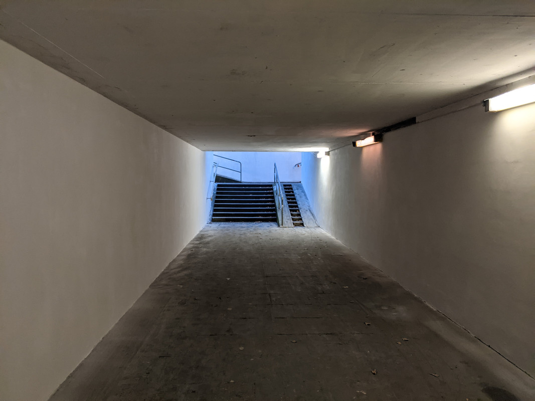 PXL_20201202_151957636