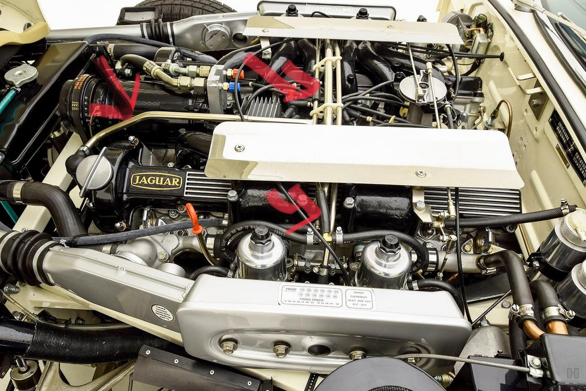 EA390B47-FB2C-4A81-9C01-7D10C64F98F1