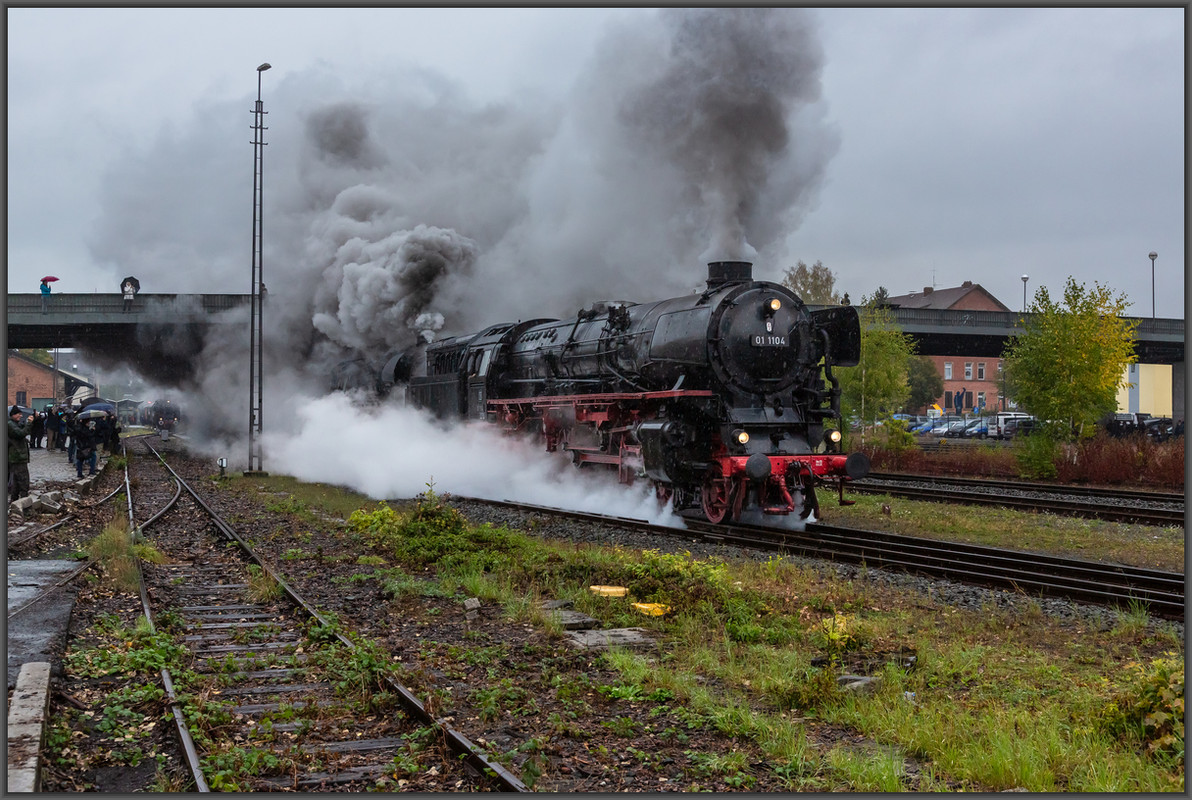 20251004-_M7A6003