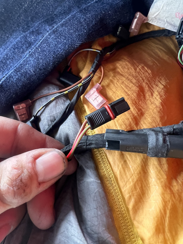 AD636E7B-5F69-4E42-89C2-D9F68CA0A454