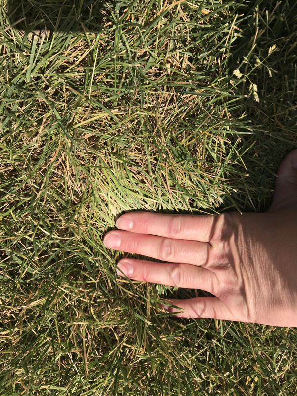 CBB707B8-4844-44ED-B54F-D6AC7ADF69F5