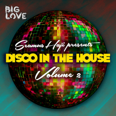 VA - Seamus Haji Presents Disco In The House Vol. 2 (2019)