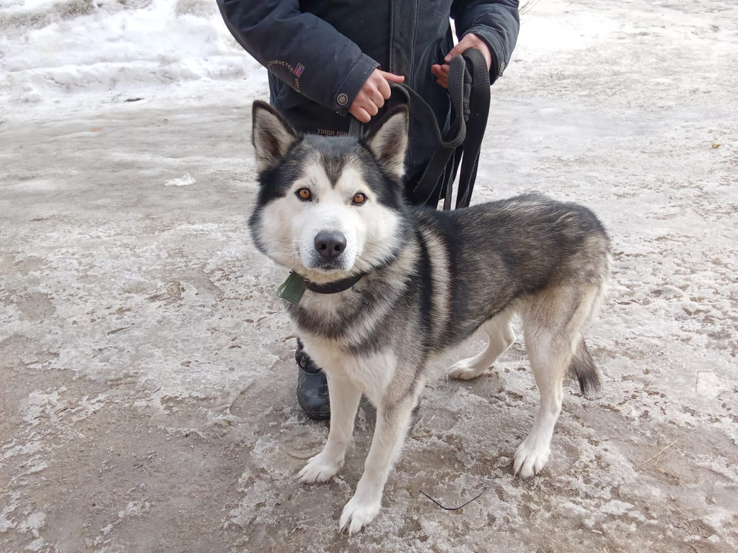 WhatsApp Image 2024-03-11 at 14.12.22 (2)