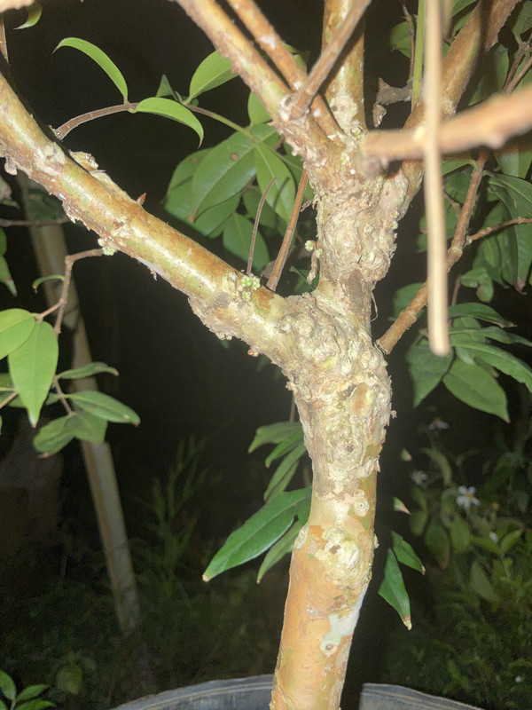 7AEB5ABF-CBC2-4A9D-9A9D-CD0CB390B391